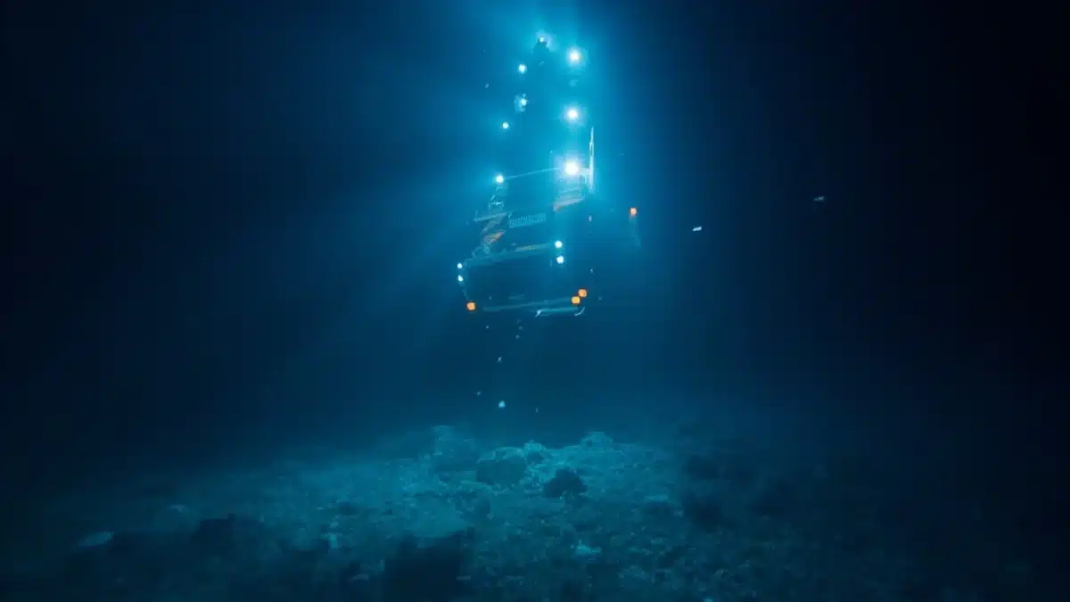 Bioluminescent deep-sea jellyfish captured at 600 meters depth during the 2026 Brazil expedition