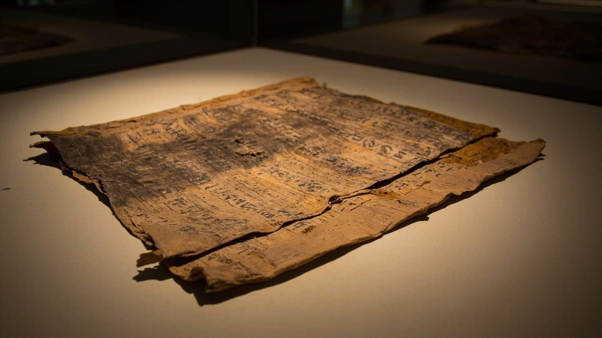 roman empire discoveries 2026 - carbonised Herculaneum papyrus scrolls under museum lighting