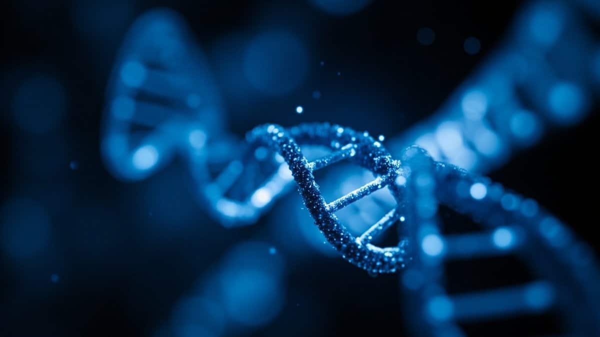 unbelievable digital discoveries 2026 - DNA double helix