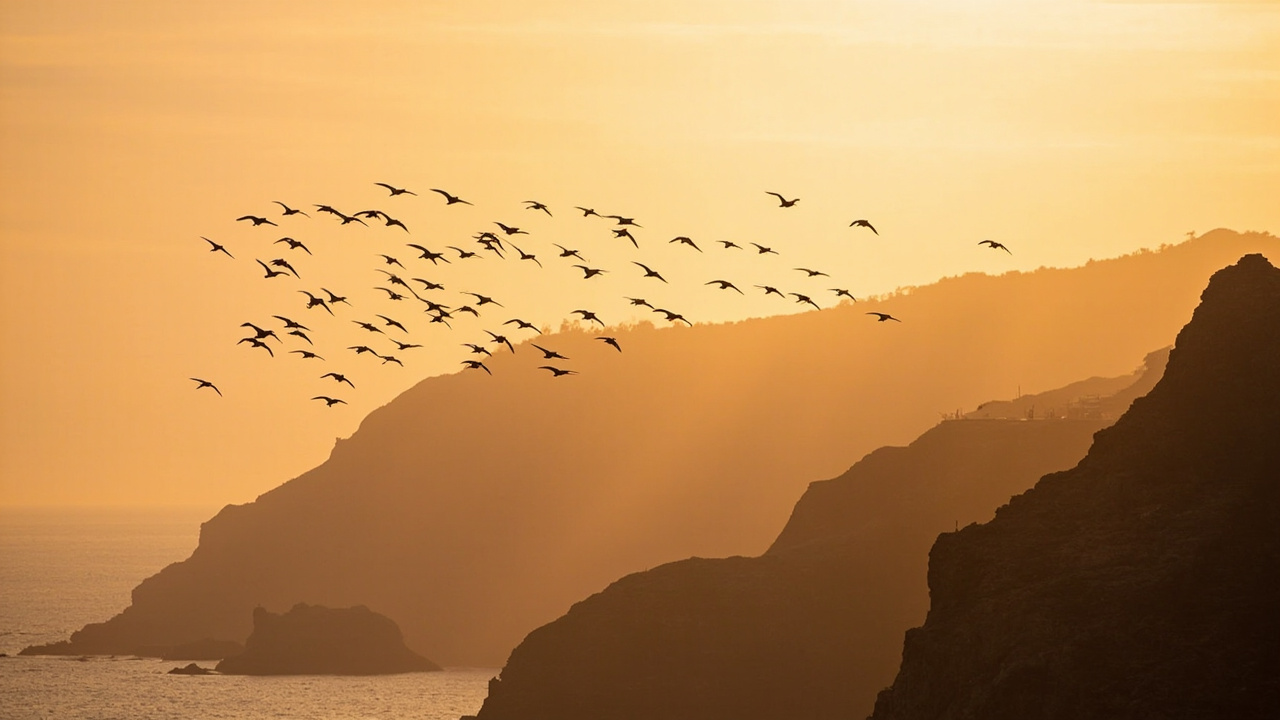 Bird Migration Patterns 2026: 7 Proven Amazing Stories